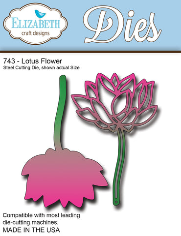 Lotus Flower (743)