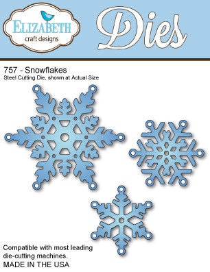 Snowflakes (757)